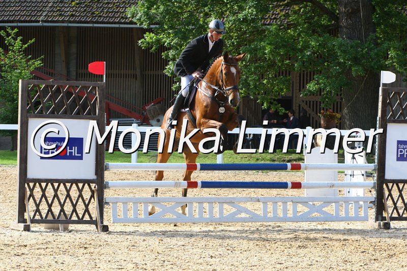 006M6407_Pialotta Z_Springpferde A.JPG